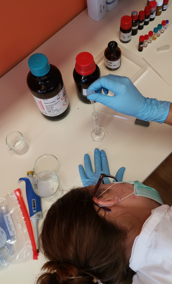 Work on a biochemical project at S3 2019