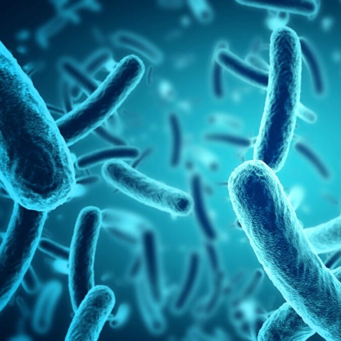 Bacteria Under Pressure: From Laboratory Cultures to Molecular Mechanisms